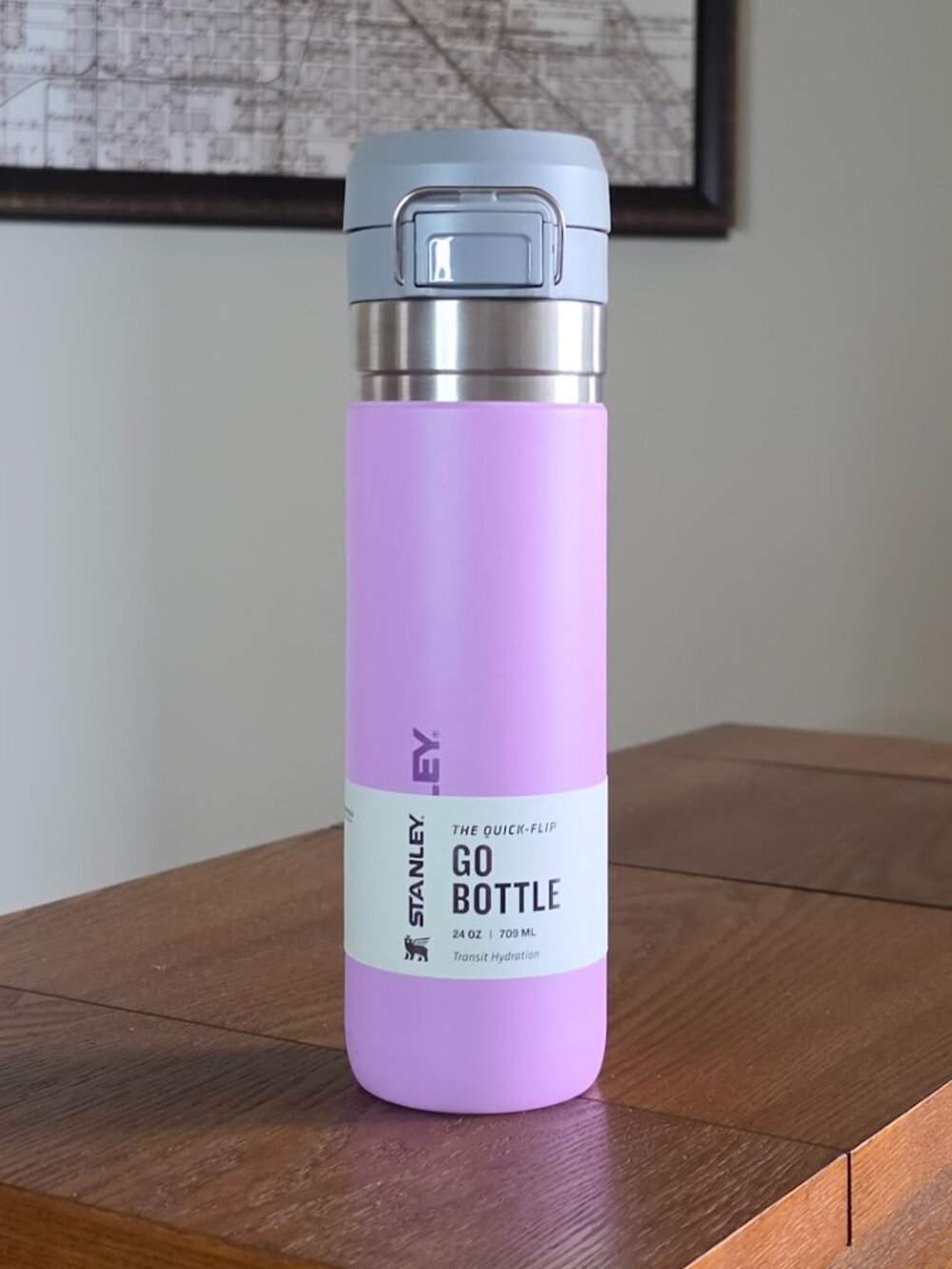 Stanley Pink & Gray Go Bottle Travel Tumbler